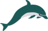 Teal Coloured Dolphin Image